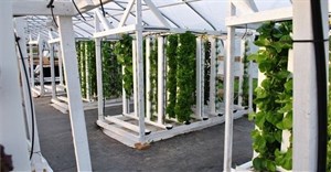UJ to host inaugural African Conference on Vertical Farming and Urban Agriculture
