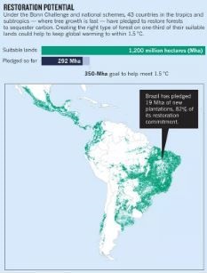 South America has lots of land suitable for restoration – but most of it will be turned into plantations.