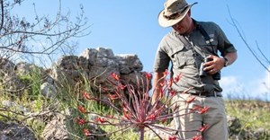 Gondwana Game Reserve launches new fynbos conservation experience