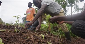 AFT Fund to launch 17 new projects in support of agribusiness in Africa