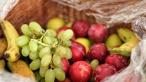 SA's fruit industry - Doing more with less