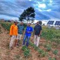 Researchers help Eastern Cape farm explore new opportunities to improve livelihoods