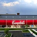 Campbell sells fresh food producer Bolthouse Farms for $510m