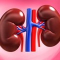 Drug reduces kidney failure in diabetics