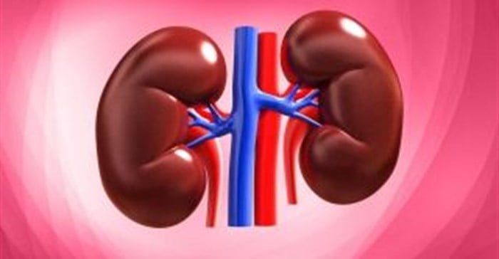 Drug reduces kidney failure in diabetics