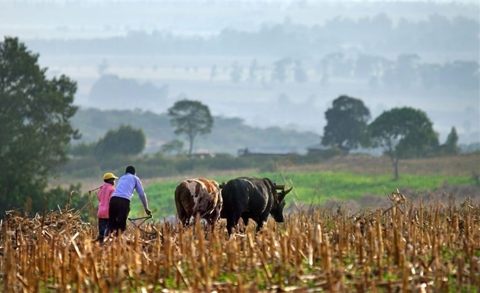 SA's black farming community needs sustainable agribusiness support, says AFGRI