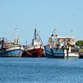 Business called to lead transformation in fishing industry