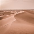Should we turn the Sahara Desert into a huge solar farm?