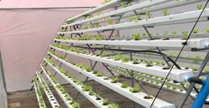 Why rooftop farms may be the next big thing