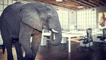Lack of diversity: The elephant in the boardroom