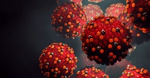Measles virus. Design_Cells/Shutterstock