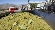 2018/19 SA wine harvest hits record low
