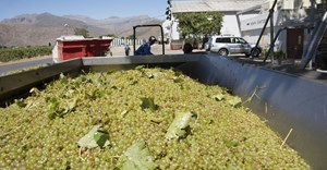 2018/19 SA wine harvest hits record low