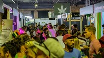 The Cannabis Expo heads to KZN