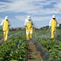 Pesticide research must stay transparent and independent