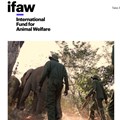 Animal welfare and conservation organisation ifaw unveils rebrand