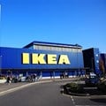 The Ikea effect: how we value the fruits of our labour over instant gratification