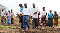 How design thinking united Malawian researchers and farmers