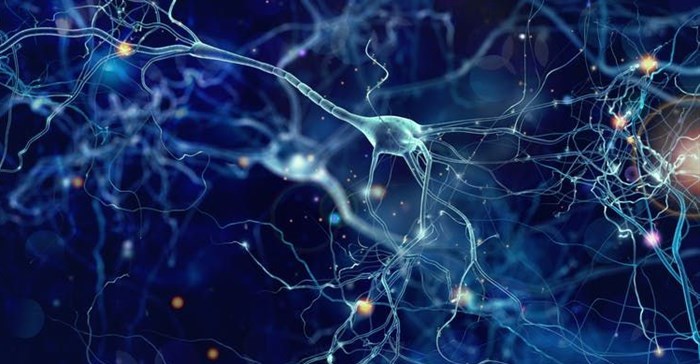 Artist impression of neurons communicating in the brain.<p>whitehoune/Shutterstock.com