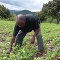 Farmer-to-farmer programme launches in Zimbabwe