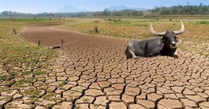 New stewardship project equips smallholders against climate change