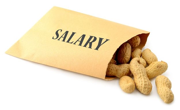 Would you work for peanuts? Be realistic with entry-level salaries