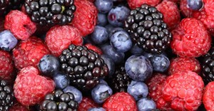 Key findings revealed: Report on US frozen fruit, juice and vegetable market
