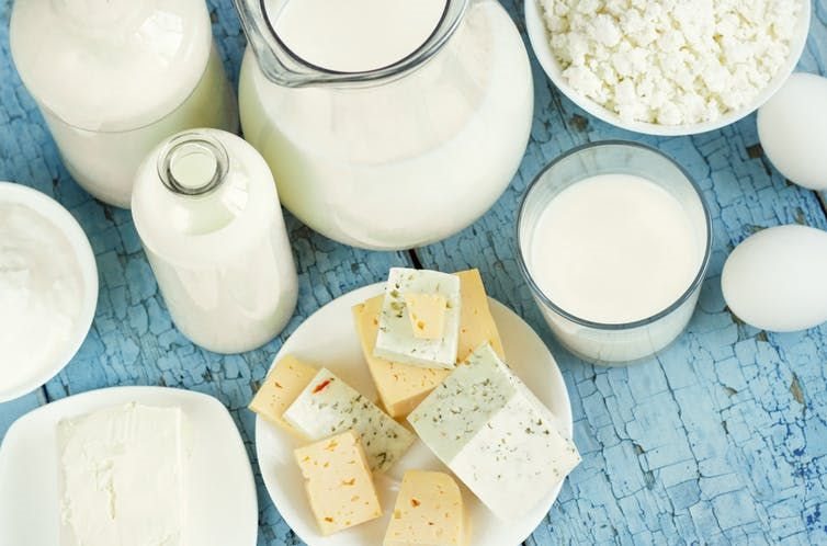 Could dairy products soon be produced in labs? (Shutterstock)