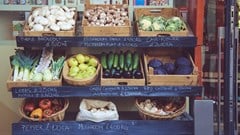 South Africa should learn from Brazil about how to tackle 'hidden hunger'