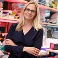 Christina Curtis and her colleagues found that colon cancer tumours could potentially spread to other parts of the body much earlier than previously known.
Paul Sakuma