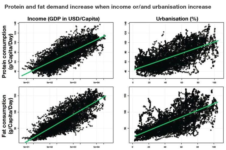 Figure 2: Protein and fat demand increase when income or/and urbanisation increase (1950 to present, all countries). J.-M. Roda/FAO/CIRAD/UPM, Author provided