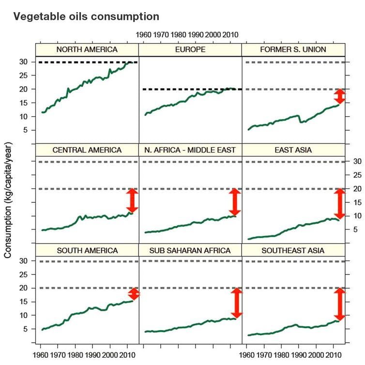Figure 3: Vegetable oil consumption. J.-M. Roda/CIRAD/UPM,
