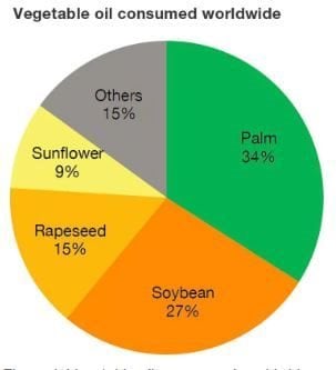 Figure 4: Vegetable oils consumed worldwide. J.-M. Roda/FAOSTAT