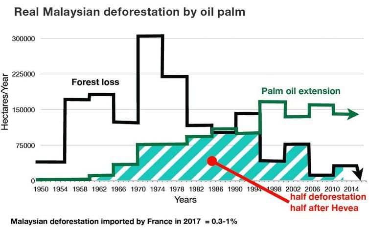 Figure 10: Real Malaysian deforestation by oil palm. J.-M. Roda/CIRAD/UPM,