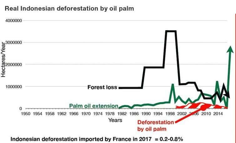 Figure 11: Real Indonesian deforestation by oil palm. Ph. Guizol/CIRAD,