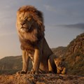 #OnTheBigScreen: The Lion King and Skin