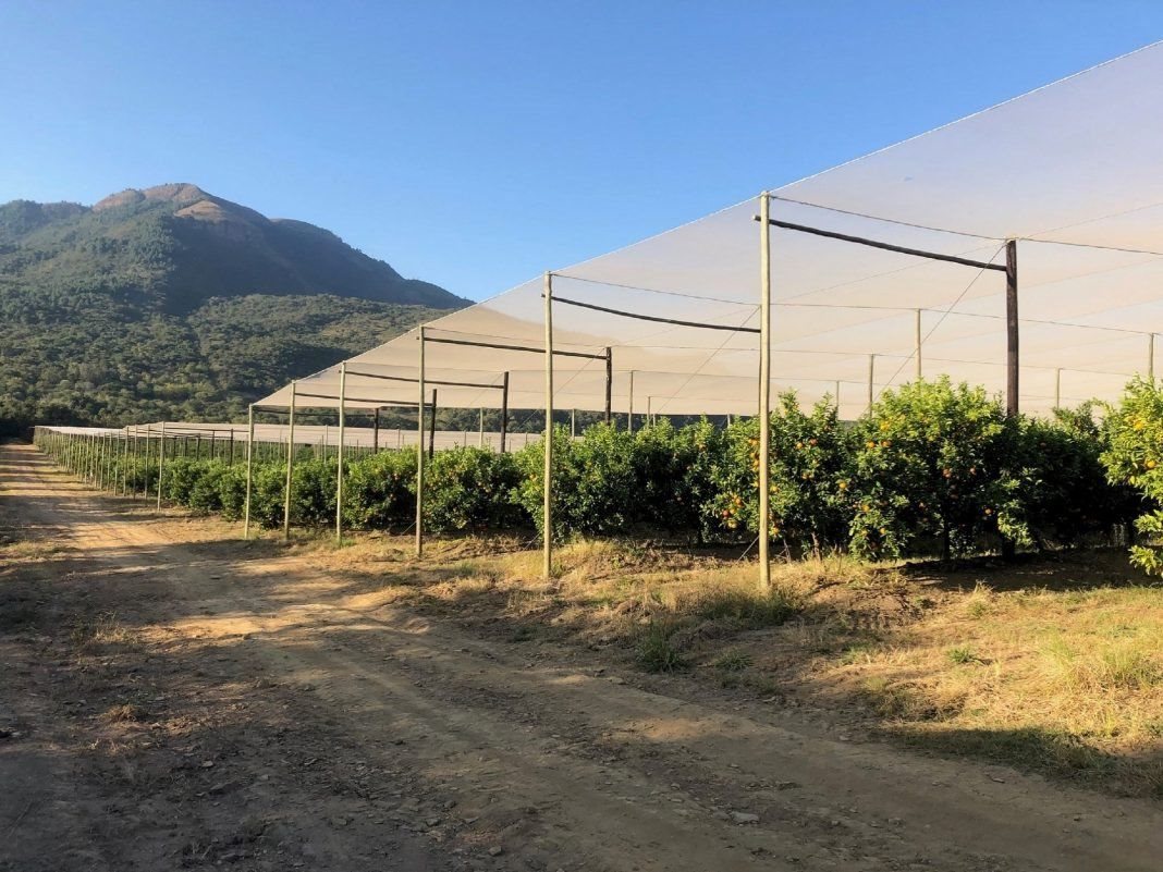 Agricultural netting helps prevent bird, insect, pest and disease damage, reduces water usage and crop wastage and increase operational profitability.