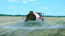 Subsidies are key to better fertiliser access, study shows