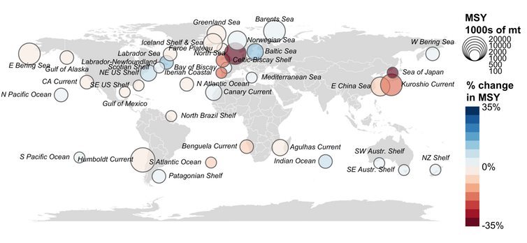 The reddish and brown circles represent fish populations whose maximum sustainable yields have dropped as the ocean has warmed. The darkest tones represent extremes of 35 percent. Blueish colors represent fish yields that increased in warmer waters. Chris Free,
