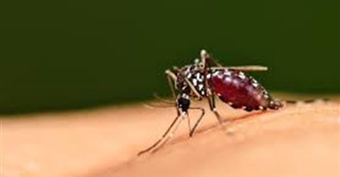 Ministers pledge to fight the rise in vector-borne diseases