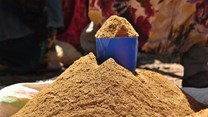 DETSA opens nationwide tender for emerging black sorghum farmers