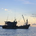 SA fisherman's working conditions commended