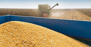 Maize estimates breach 11m tonnes, boosting supply outlook