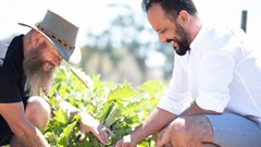 How Majeka Kitchen is championing hyper-local produce