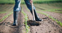 Transforming SA agriculture through Change