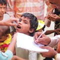 The oral polio vaccine is most commonly used in the developing world, despite one big problem.
CDC/Alan Janssen, MSPH, CC BY