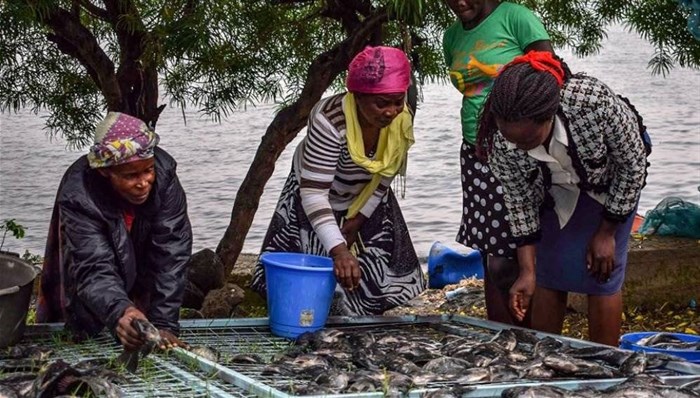 Using internet technology to improve cage fish farming