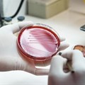 Researchers have evidence of another method that bacteria use to avoid antibiotics. Sirirat/Shutterstock