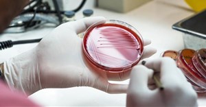 Researchers have evidence of another method that bacteria use to avoid antibiotics. Sirirat/Shutterstock