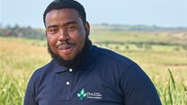 Tongaat Hulett empowering youth in sugarcane farming through transformation initiative
